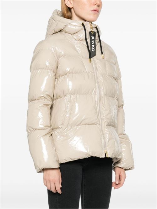 Shiny women's down jacket Pinko | 101597-A11K.D05